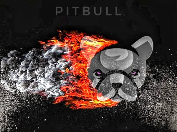 HCK_shige's tweet photo. @WatcherGuru #pitbulltoken https://t.co/NLrtRxCEhA
