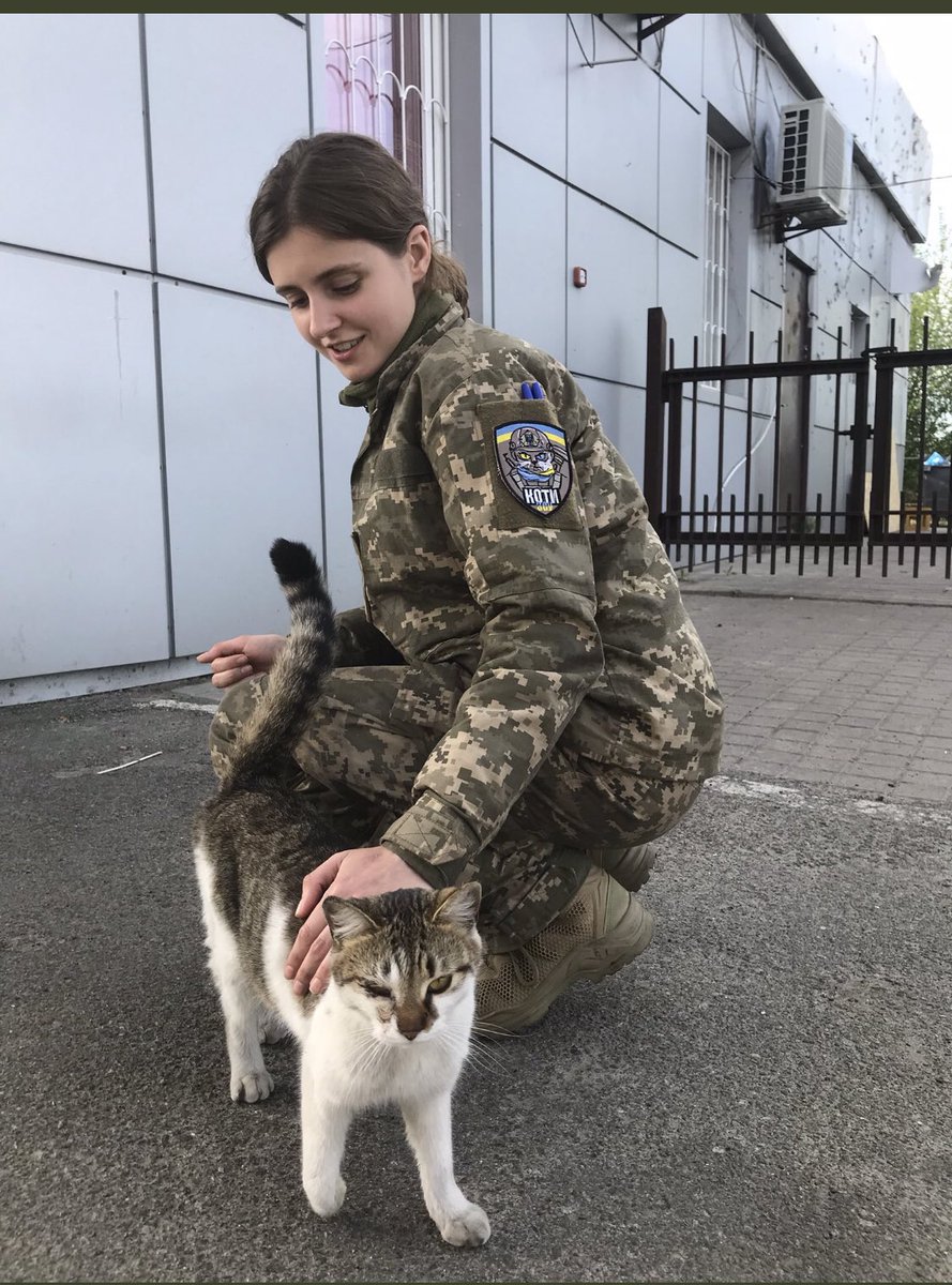 UAarmy_animals's tweet photo. Cats 🐱.

#Ukraine️ #UkraineUnderAttaсk #UkraineRussiaWar #UkraineWillWin https://t.co/utCaN0wD16