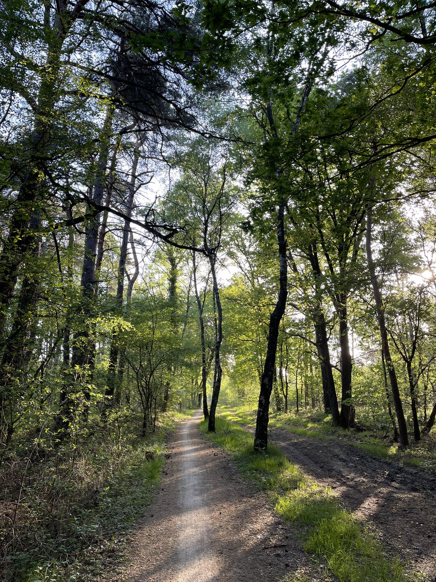TriPhotographic's tweet photo. 6:30 uur - Zomerse zondag -

🌷’Het Lankheet’🌳Haaksbergen 

 📸🎥 #iphone12promax #tinyhouse  #haaksbergen #hetlankheet #mooitwente #Twente #enschede #netherlands #photographer #Triathlon #sport #art @imtrinews @TriPhotographic https://t.co/4al8ElTvPI
