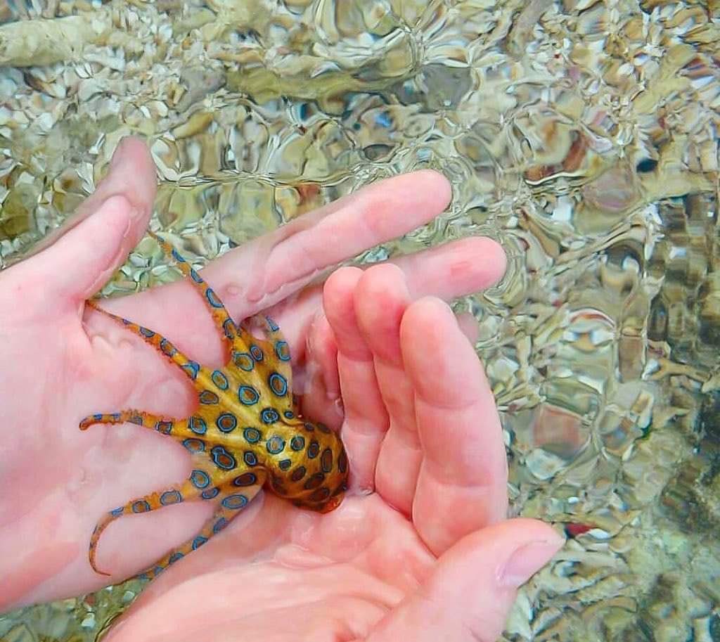 Mike Goldstein tweet media