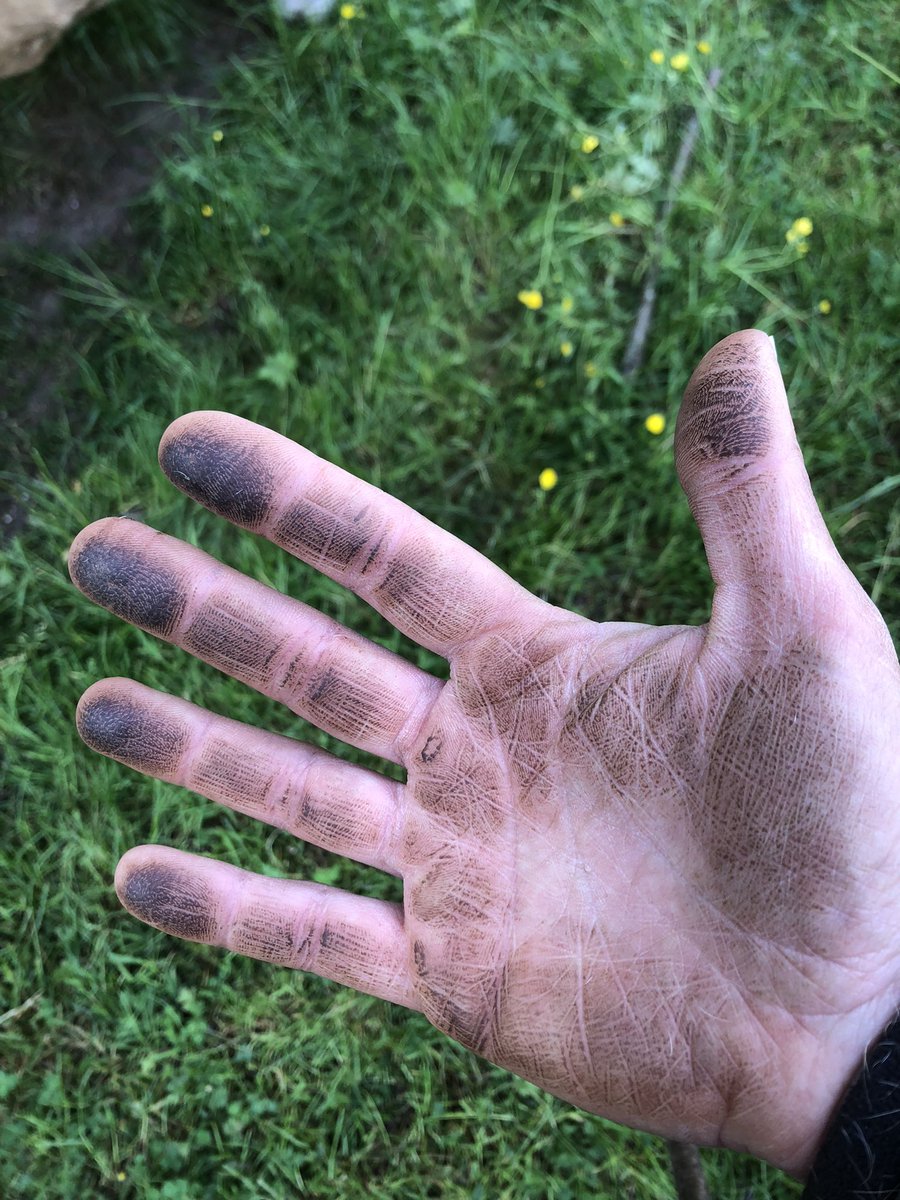 Berengere0802's tweet photo. Ça commence comme ça et ta main finit comme ça 😂#cestdupropre #hygienezero #tousaladouche 😜 https://t.co/xEPluG6UfS