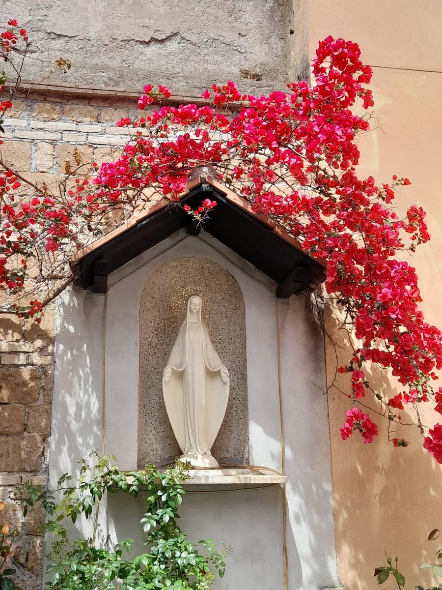 RosairedeFrance's tweet photo. Reine des Martyrs, priez pour nous Couvent Saint Maximilien Kolbe, Rome, Italie via Laurence https://t.co/HgEPIXH65C