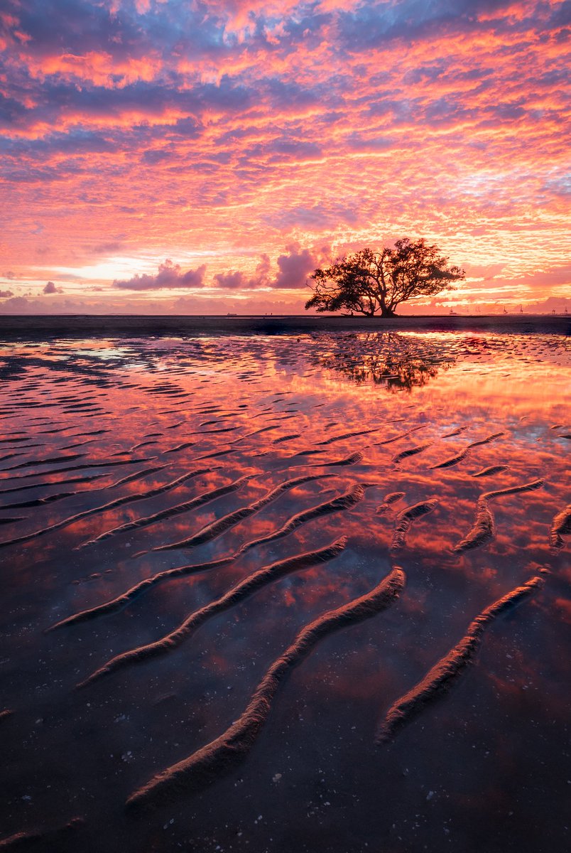 The most epic sunrise I've witnessed to date.  I could literally feel the burn on my face ❤️‍🔥