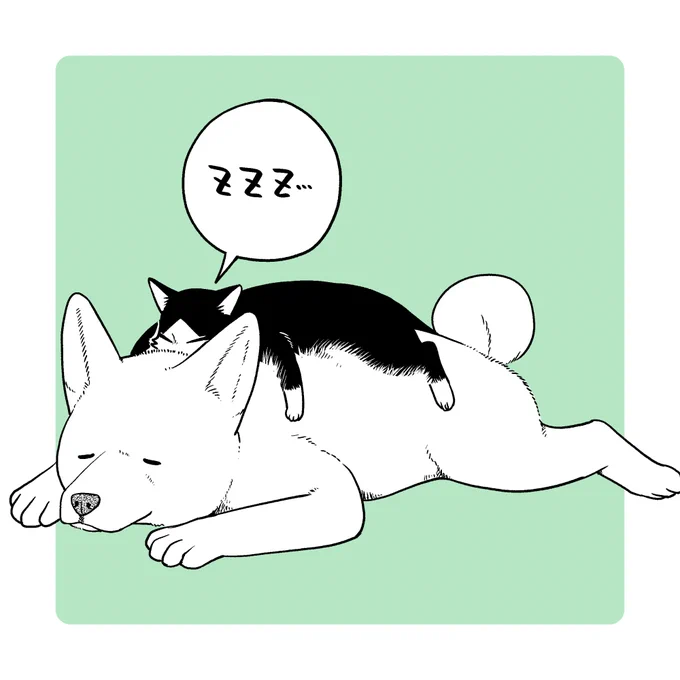 マンガワンでおまけ更新が公開されました。ライフ消費なしで読めます。おまけ更新では初めてのこまち・大家回です。裏サンデーも21話が公開になりました。
本編は来週22日更新予定です。
#猫のしもべにされまして #マンガワン https://t.co/IYT8HJ1JWr 