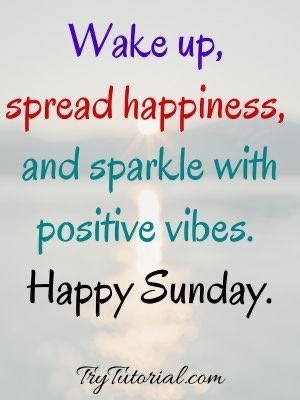 LadysMaids's tweet photo. Make your Sunday Sparkle like your home! #cleaner #cleaning #cleaningservice #cleaningbusiness #ukcleaning #residebtialcleaning #cleaningbusinesssomerset #cleanhome #cleanhomehappyhome #cleanhousecleanmind #sparklyhome https://t.co/ZDlSpwRDVy