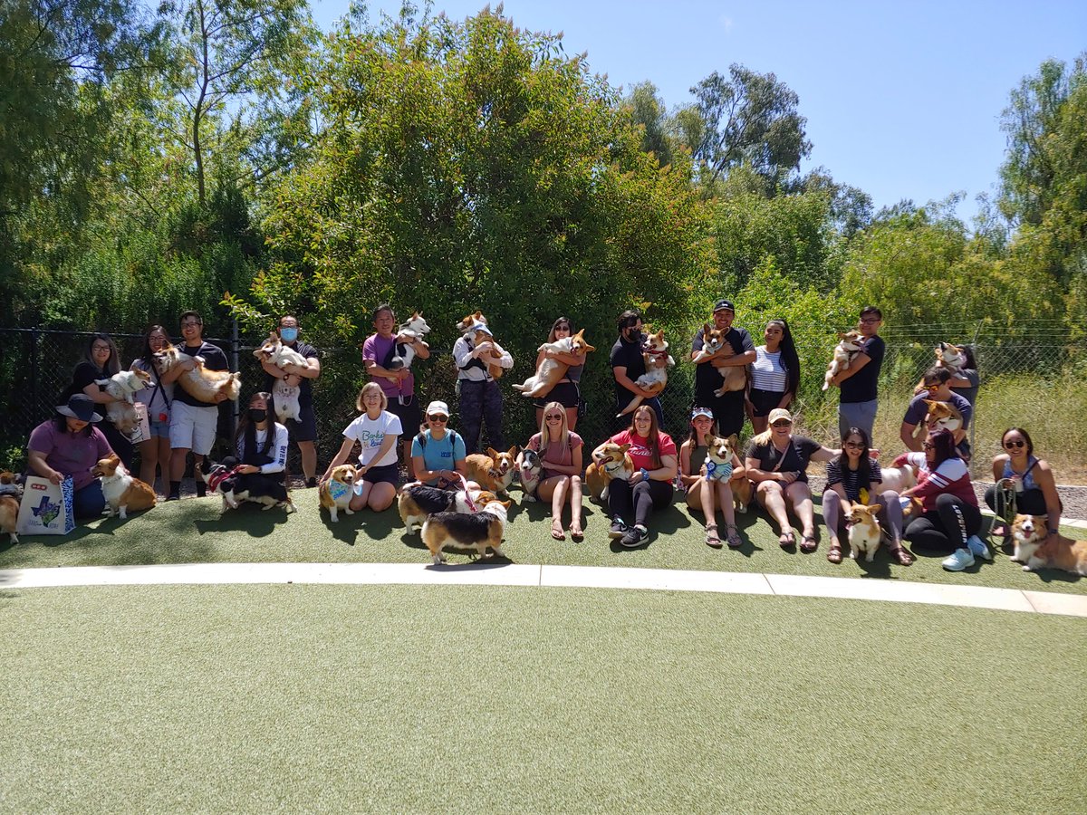 reesethecorgiii's tweet photo. Thank you to everyone that came out to my Borkday party! Although it was a little on the warm side, it was still loads of fun! #CorgiCrew #Borkday #corgisoftwitter https://t.co/fWRLyOP0iR