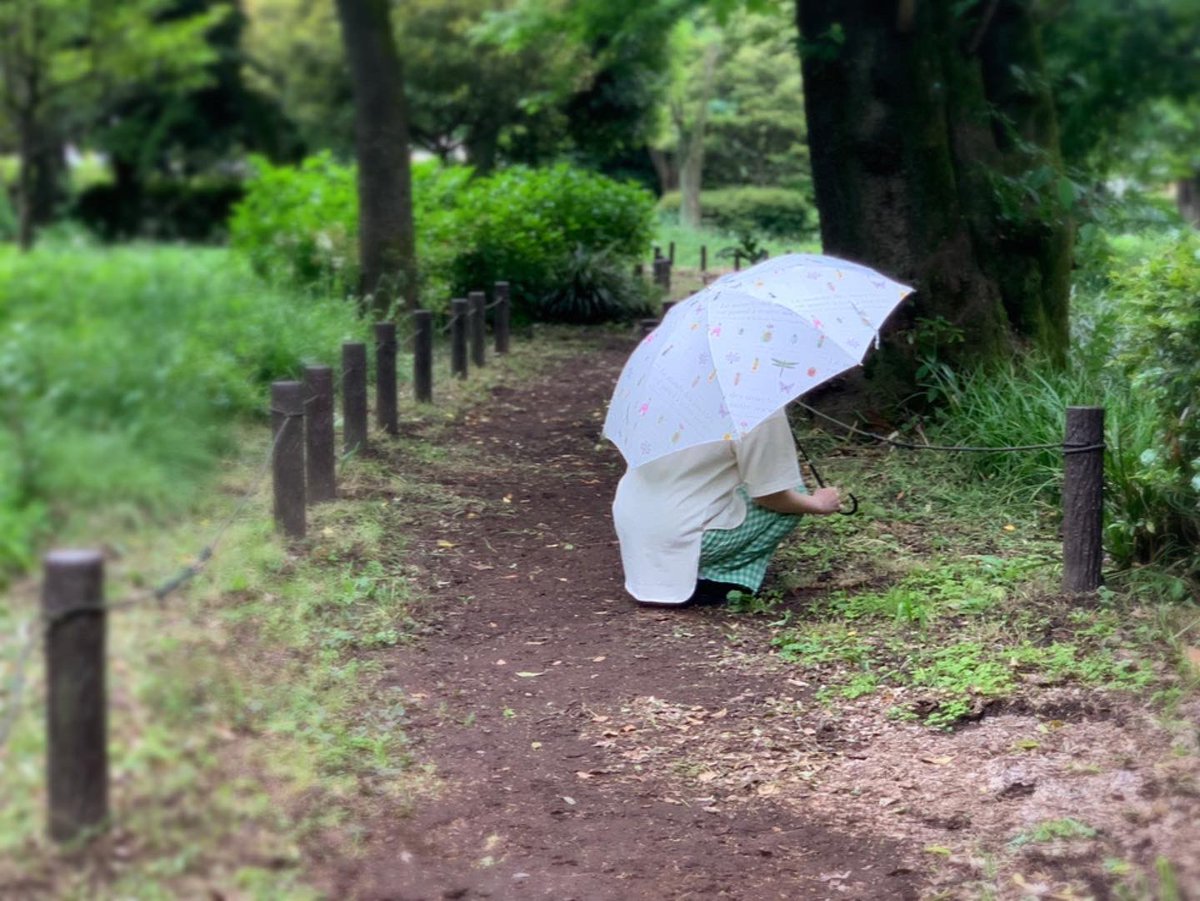 ChiekoLangsan's tweet photo. るんるんるん☂️♬
インセクトガーデン OTONA Encyclopedie 傘 blanc
@insect_market
@insect_garden
@64collection
#インセクトマーケット
#インセクトマーケット寄付
#インセクトガーデン #insectgarden #エシカル #タグ #植物 #花 #ボタニカル #botanical #flowers #insects #傘 #雨傘 https://t.co/o45Sxkrhow