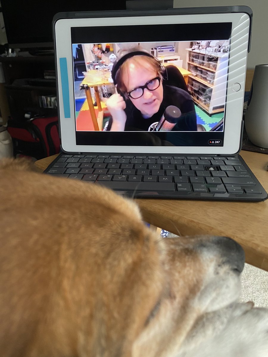 scifigal13's tweet photo. My hound @Daisy_hounddog and I had an absolute BLAST watching @dial_the_gate livestream discussion with @dhewlett and @mikamckinnon this afternoon! Thanks #DavidRead et al for the funtimez!
#RodneyMcKayRox https://t.co/xZZBKuMNqN