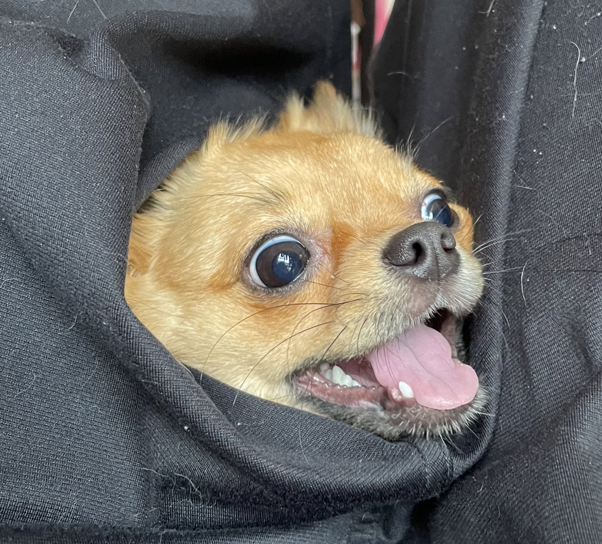 🔨④❹⑥🥀 (@syaruro10) on Twitter photo 