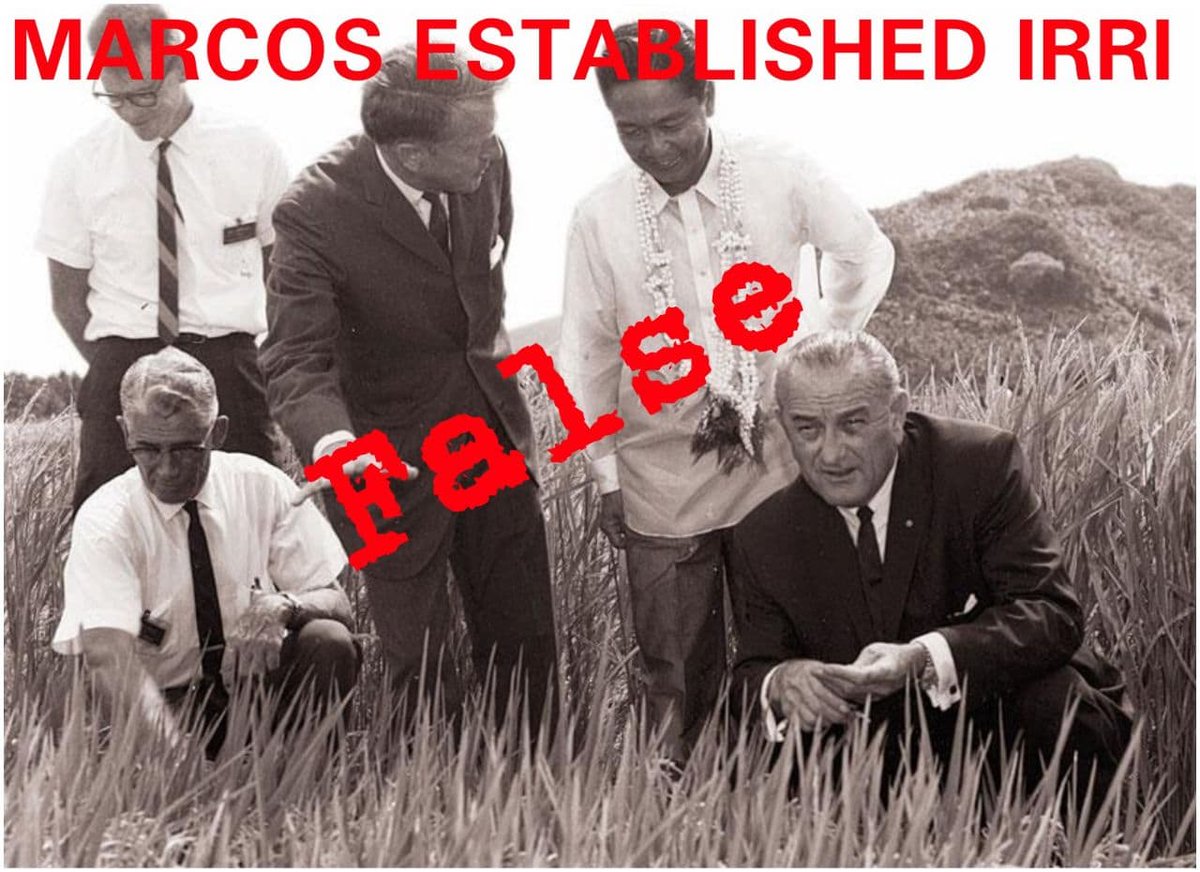 SaltAndReality's tweet photo. The myth of Ferdinand Marcos establishing the International Rice Research Institute is FALSE. IRRI was founded in 1960 by the Ford &amp; Rockefeller Foundation 5 yrs before Marcos became president in 1965. In '66 IRRI released the IR-8 Miracle Rice &amp; was mistakenly credited to Marcos https://t.co/Ln8Rxn8I3i