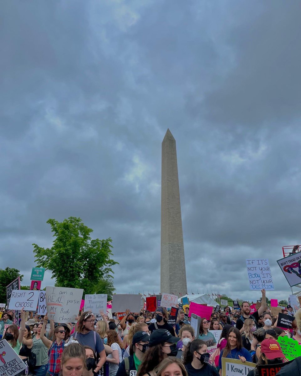 genevaswans's tweet photo. #BansOffOurBodies in DC https://t.co/DGDTfZpAF7