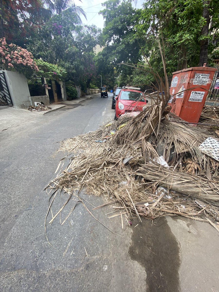 PoojaB1972's tweet photo. Before & after! Thank you @mybmcWardHW @mybmc @MNCDFbombay for having all garden debris/dry waste removed from Veronica rd. Still a few miles to go before we sleep but this is a great improvement from two days ago. 🙏 #keepbandraclean #keepmumbaiclean https://t.co/wcLrZh2FQr
