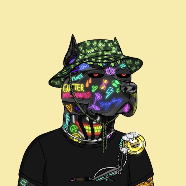 jonathendsmith's tweet photo. I did the deed. What does everyone think. @GutterCatGang @W0rmiOo https://t.co/8nv2kWCQQa