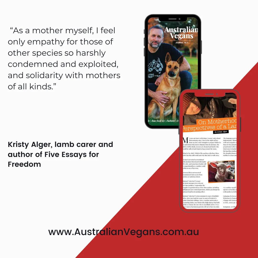 KorySherland's tweet photo. Thank you to Kristy Alger, lamb carer and author of Five Essays for Freedom,  for your article for Australian Vegans Journal vol. 5. 

Read the full article at https://t.co/tyBYYBz9HN

Pre-order printed copies at https://t.co/lh6vFoB4ew

#election2022 #ausvotes
#voteAJP #vegan https://t.co/trYR28NSjN
