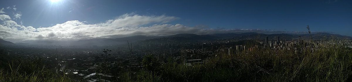 abejaproduccion's tweet photo. #Caracas https://t.co/GCH30hIqln