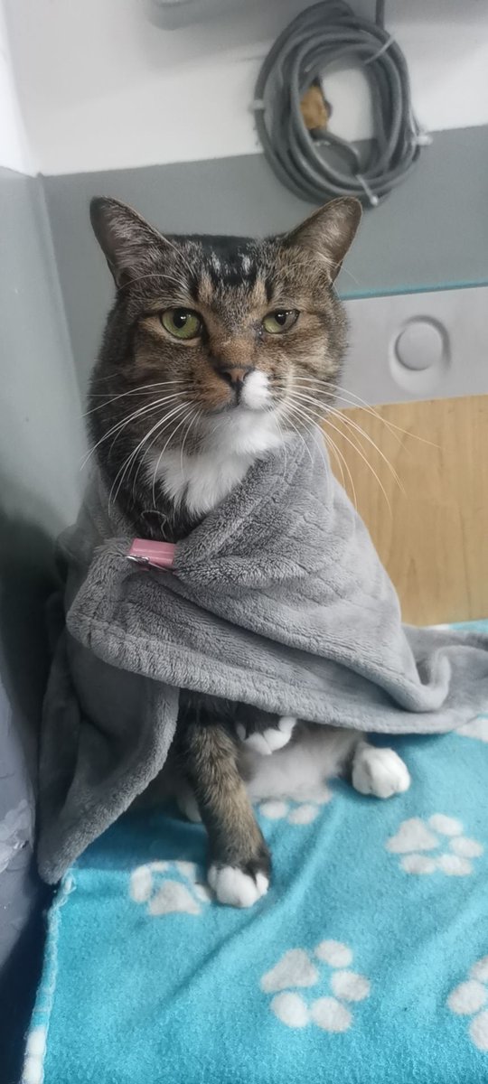 曾梦想仗剑走天涯