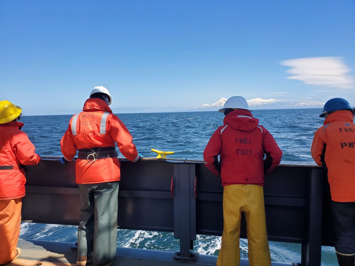 Dr. Emily Lemagie tweet media