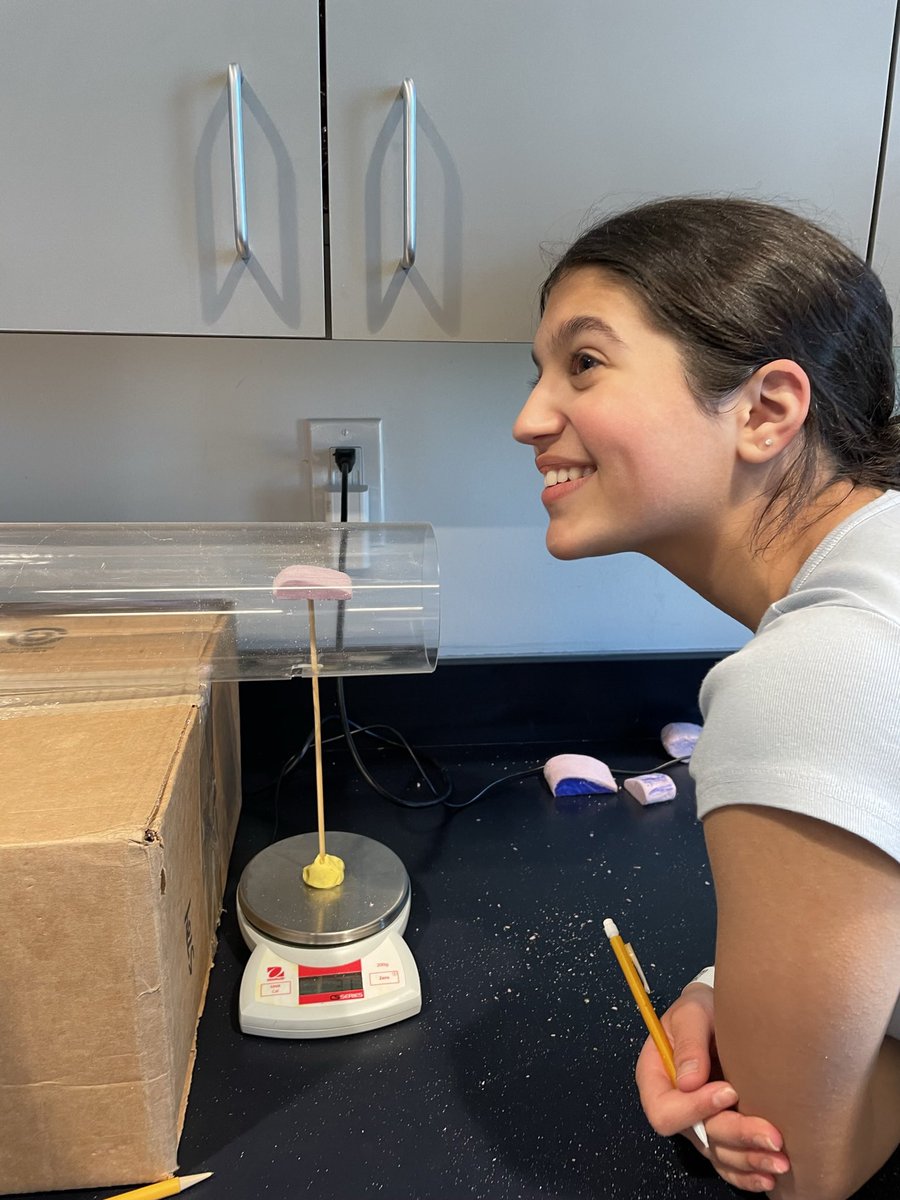 CKMS_Girls's tweet photo. 8th grade girls learn about the physics of flight by making airfoils and testing them in a mini wind chamber. W/@smithscience1 @iFLYDetroit #physics #flight #skydiving #STEM #STEAM https://t.co/B7lijgpows