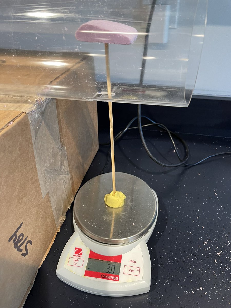 CKMS_Girls's tweet photo. 8th grade girls learn about the physics of flight by making airfoils and testing them in a mini wind chamber. W/@smithscience1 @iFLYDetroit #physics #flight #skydiving #STEM #STEAM https://t.co/B7lijgpows