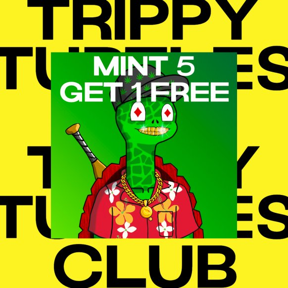 Trippy Turtles Club tweet media