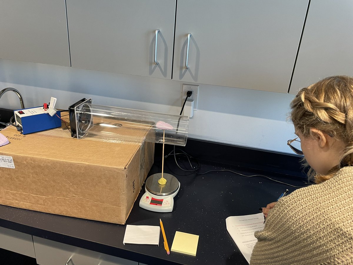 Ashlie Smith tweet media