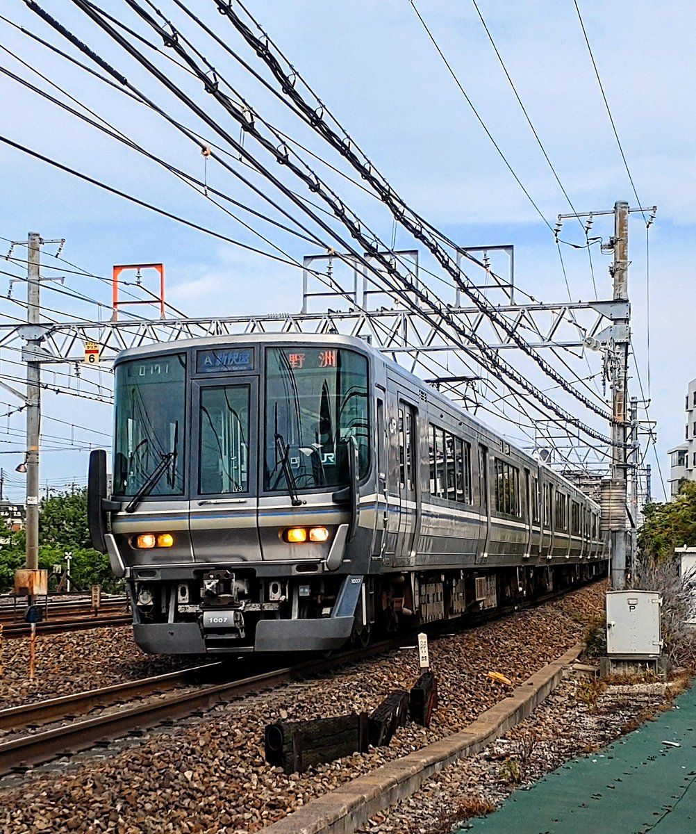 SI53785289's tweet photo. 朝の散歩中に。 https://t.co/YAADG0ad8T