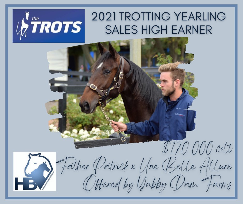 HarnessBreeders's tweet photo. Congratulations to @YabbyDamFarms who bred this #FatherPatrick colt who brought $170,000 in the 2021 @NutrienEquineSB Yearling Sale ring. https://t.co/NKetb1cxt2