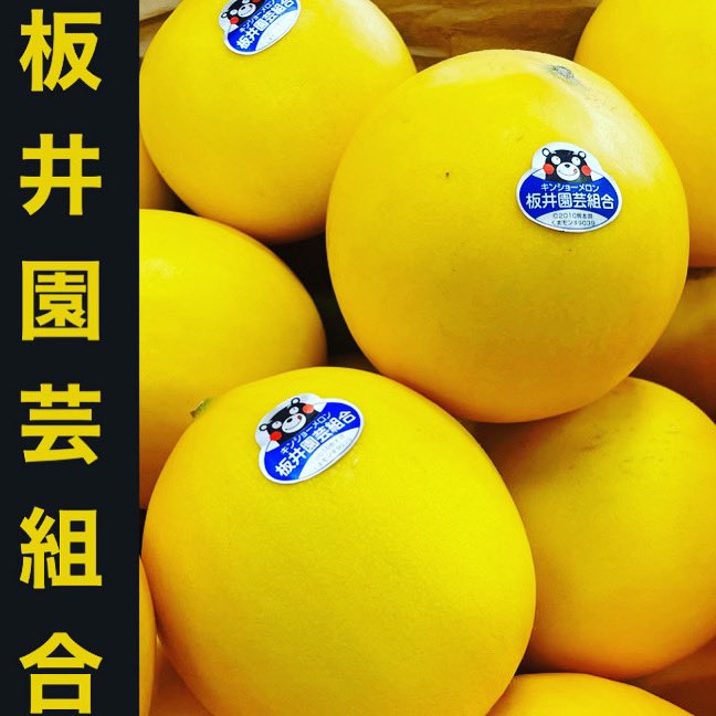 板井園芸組合 キンショーメロン Itaiengeikinsyo Twitter