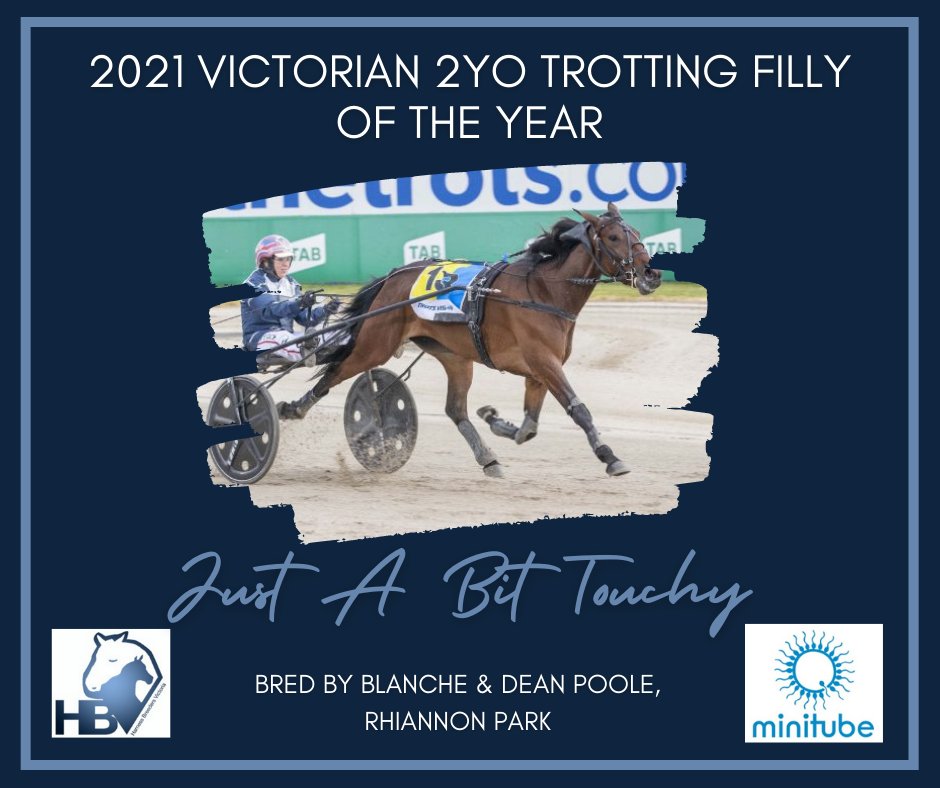 HarnessBreeders's tweet photo. Congratulations to Blanche & Dean Poole of @rhiannonpark14, breeders of JUST A BIT TOUCHY (#FatherPatrick x Gypsy Flair x #Skyvalley) - our 2021 Minitube Victorian 2YO Trotting Filly of the Year
.
.
@TheTrotsComAu
@AsbaAust
@VSTAharness
.
#PaysToBeVicbred https://t.co/8o8D01vIuf