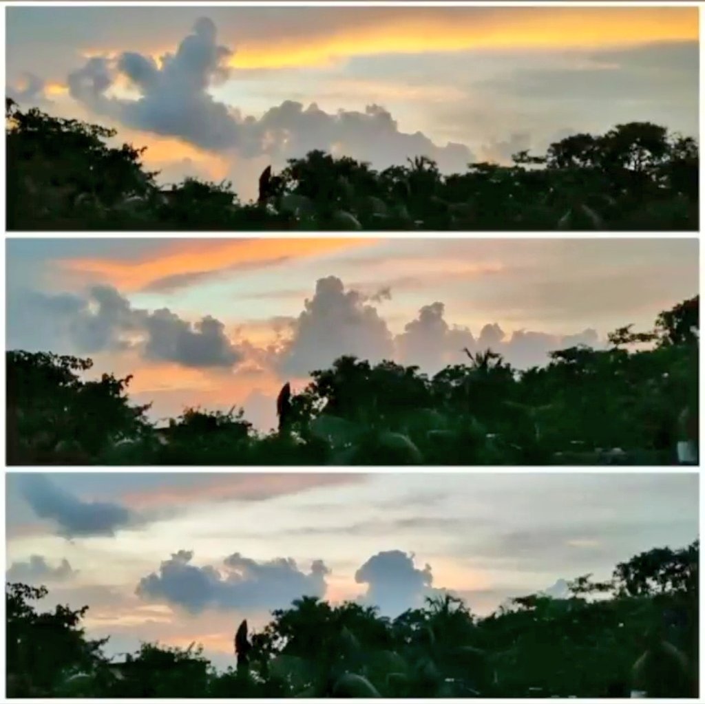 TN_Swati_S's tweet photo. Euphoria :-)
.
🌼
. 
#thedusk #beauty #landscape #photography #NaturePhotography #photooftheday #beautiful #Euphoria #Euphoria_1500Days #sky #swarts #view #beautyofnature https://t.co/8ItSRHbmpg