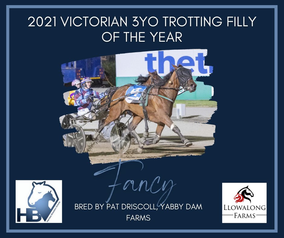 HarnessBreeders's tweet photo. Congratulations to Pat Driscoll of @YabbyDamFarms, breeder of FANCY (#QuakerJet x Speedy Naomi x #SafelyKept) - our 2021 @EquineRivers Llowalong Farms Victorian 3YO Trotting Filly of the Year.
.
.
@TheTrotsComAu
@AsbaAust
@VSTAharness
.
#PaysToBeVicbred https://t.co/4JX2aQJ5Ro
