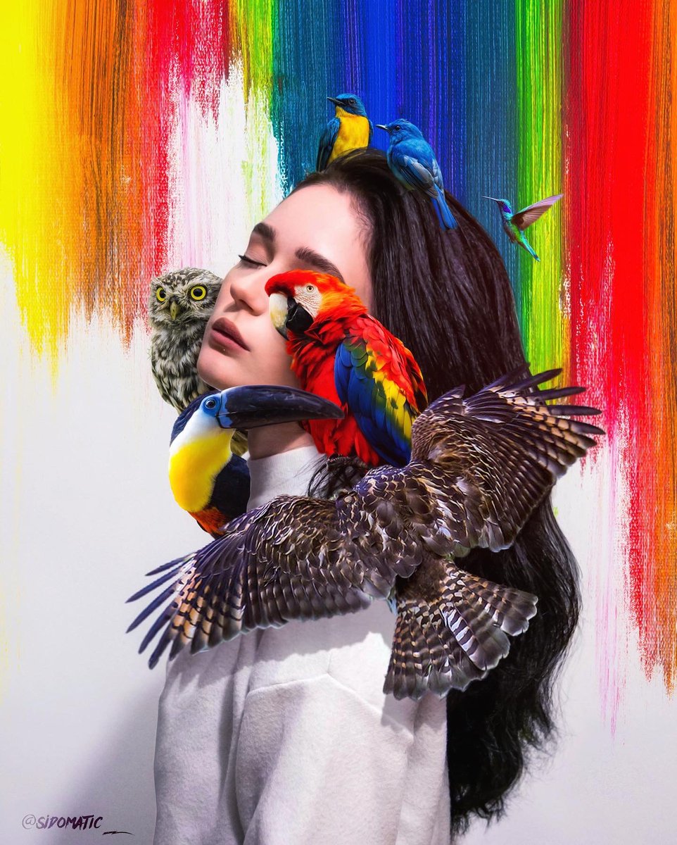 Gm #NFTCommunity . Have a great day 🌅