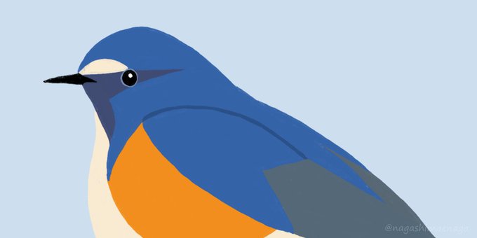 鳥のイラストのtwitterイラスト検索結果