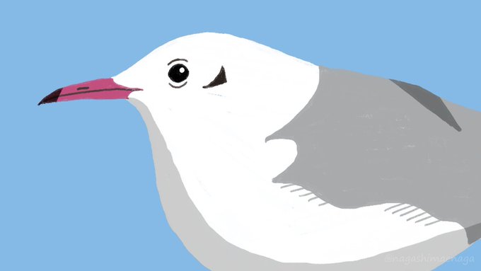 鳥のイラストのtwitterイラスト検索結果