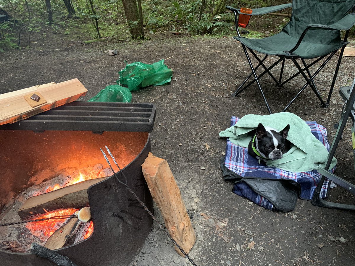 nicole_esleyer's tweet photo. Colder than usual for May camping on #vancouverisland nothing a s’more can’t warm up 🔥 https://t.co/bfCmgclo6e