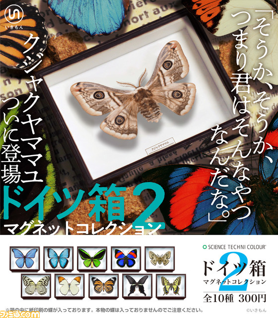 標本箱 ドイツ箱 6箱セット 虫類用品 | salonbiyou.com