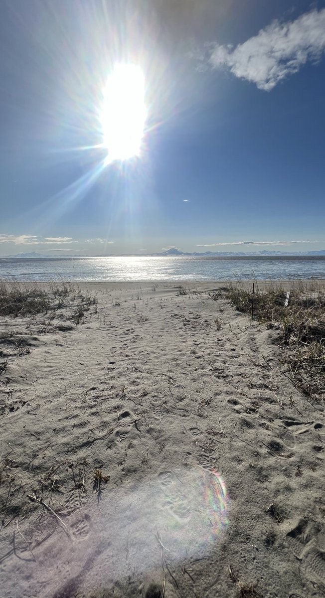 CynthiaNotti's tweet photo. With two weeks to go before I turn in my final project - I am once again locked away at my cabin getting energized and mostly motivated to work. https://t.co/rQOUWTsN2F