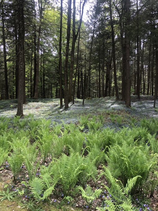 The Mount - The Edith Wharton Estate https://t.co/sQQllbbK0Z<a href="/tag/bf"class="tags"><span>#bf</span></a><a href="/tag/thespa"class="tags"><span>#thespa</span></a><a href="/tag/saratogaracetrack"class="tags"><span>#saratogaracetrack</span></a>