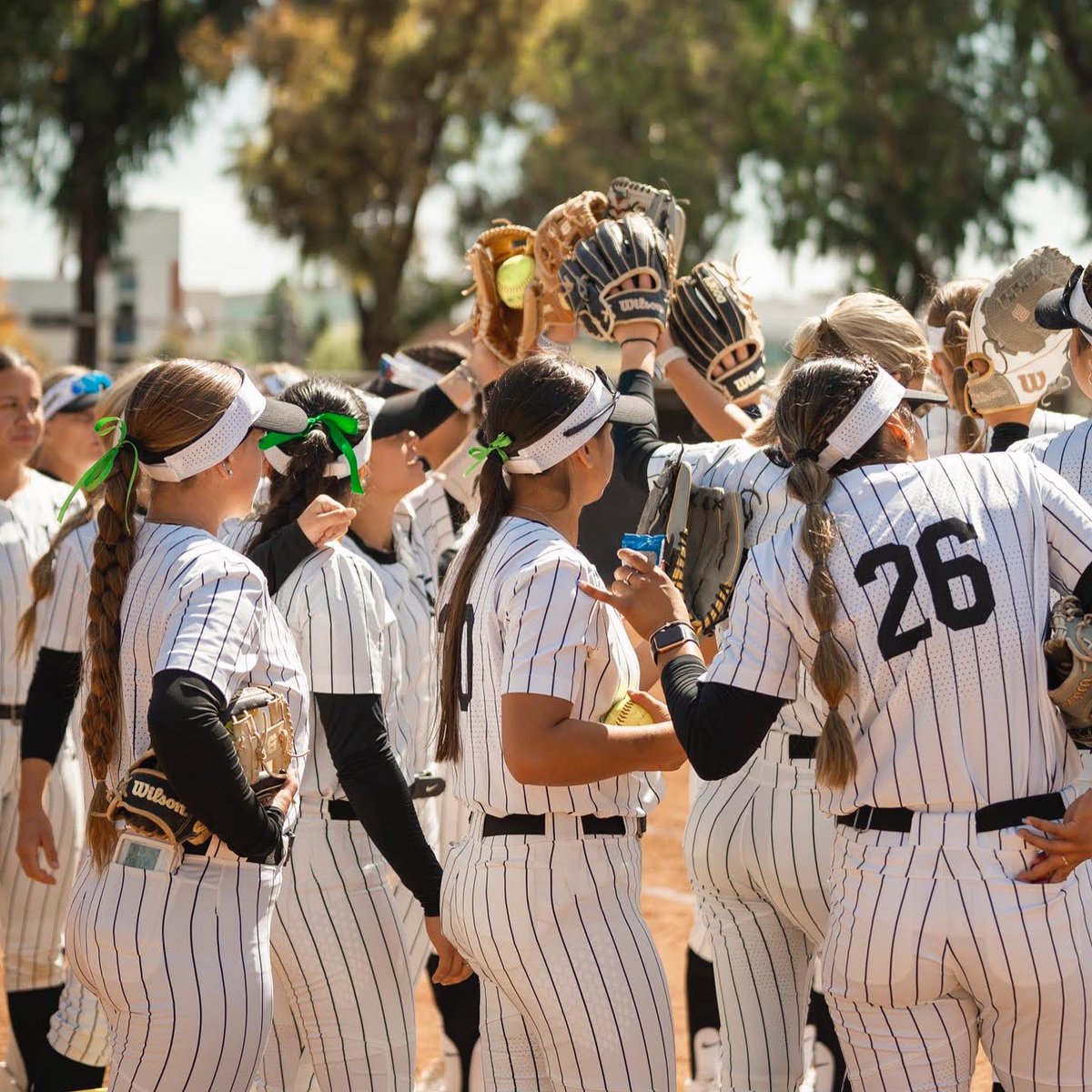 LBSUAthletics's tweet photo. An amazing season from our @LBSUSoftball team! 

They took the W on the final game of the series vs. Fullerton 👏

Thank you to our seniors and LB Nation 💛🖤🥎

#GoBeach https://t.co/UnGt7ddqA5