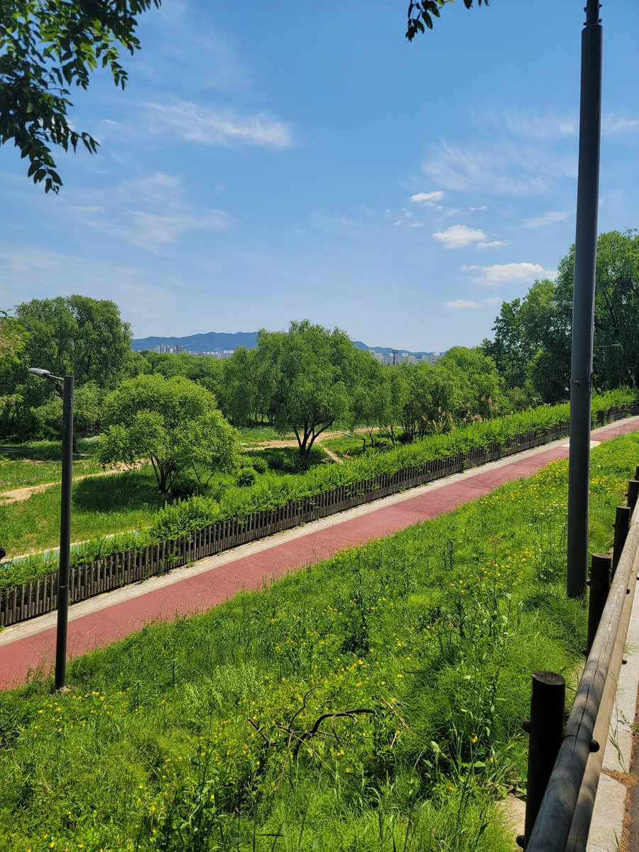 오늘날씨가 참좋네요.봄보단 가을처럼보이네요 하늘도 높고말고~~
산책하며 여유를 느끼고있네요~~^^
이런날은 저녁에 산책해도 좋을듯해요.
외롭고 쓸쓸한 애기들은 편하게 연락해요.
라인 hye8960