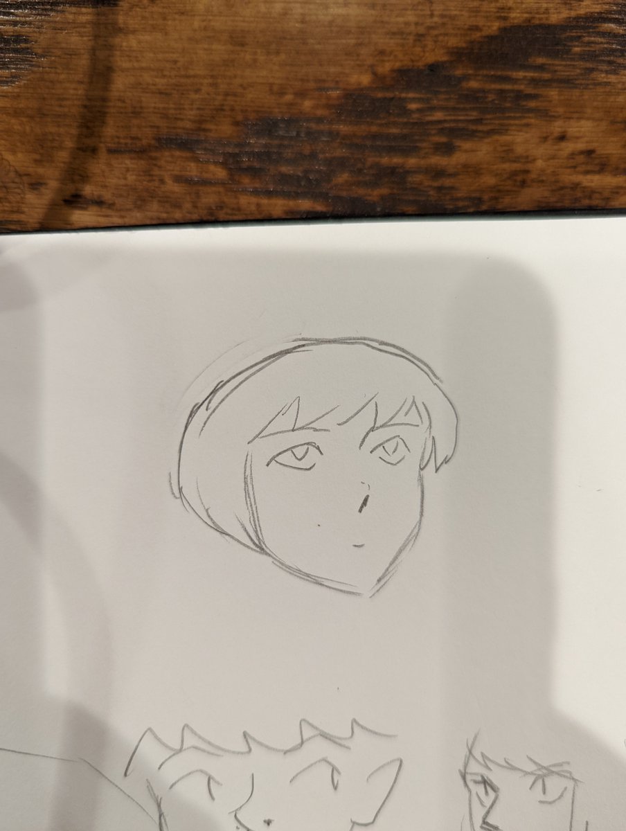 erintheunready's tweet photo. okay, so I've always called this "skull cropping" but is there an actual term for this common art problem where people forget to draw the back/top of the head? like this https://t.co/C3g58USvyP