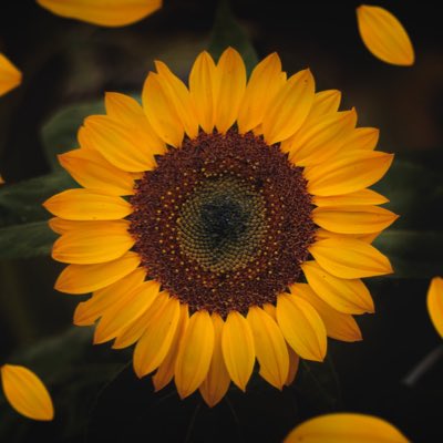 TedK0214's tweet photo. #NewProfilePic https://t.co/nBJMyvXbJg