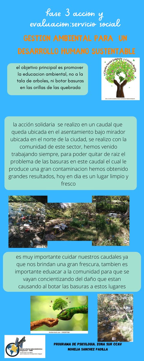 Nohelia tweet media