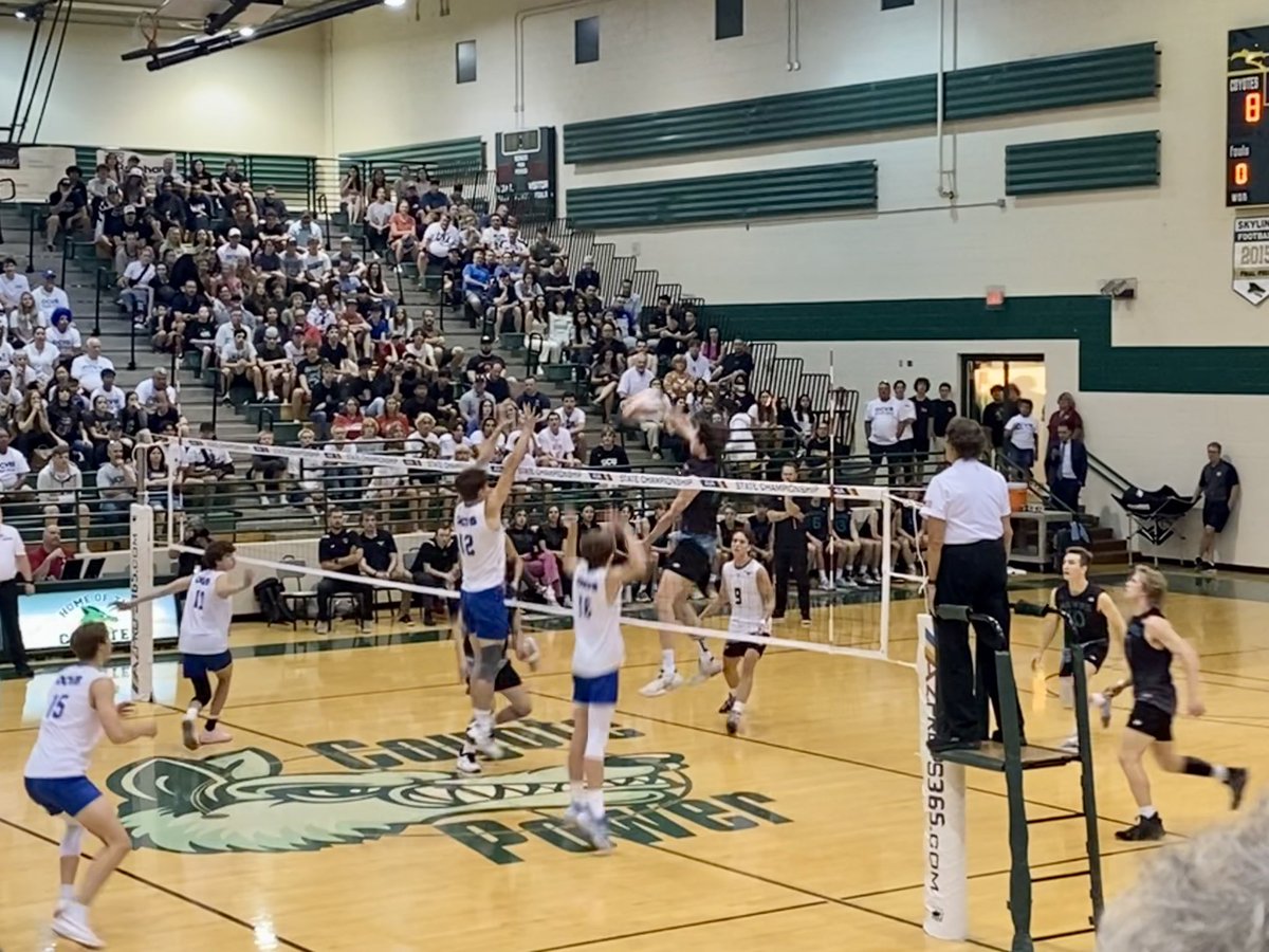 Marcie Taylor tweet media