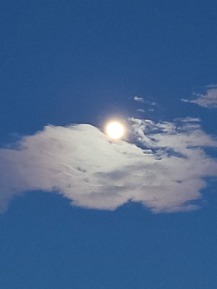 iamvaljones's tweet photo. JUST ME?! Or does the cloud look like the hand of GOD/DESS carrying a pearl?
Brilliant‼️🌕❤️❤️❤️❤️❤️😃
#fullmoon
#yod
#chosen
#theedaughter
#livingastrology
#godsavethequeen
#naturephotography
#naturephotographybyvaljones
#onvacay
#daoracleparables
#👁❤️myself
#justbeing
#VII https://t.co/7sV7bt5RkV