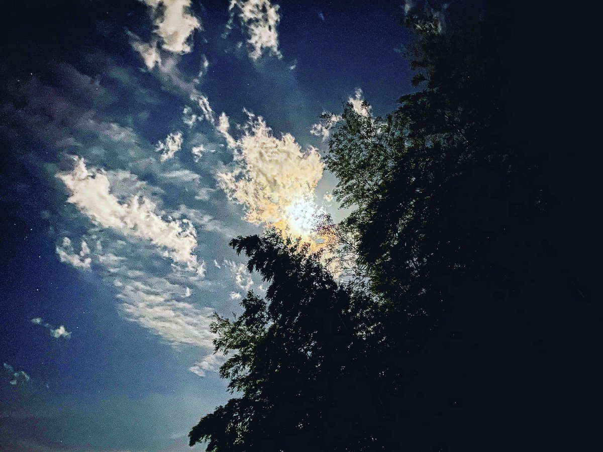 matthewbketchum's tweet photo. I love #bamboo, #clouds, and #themoon equally.

#moon #tothemoon #moontime #lookatthemoon #isthemoonintherightplace #conspiracy #bamboozled #bambooforest #japan #nighttime #japanatnight 

@WhenMoonSir3 @_whenmoonrise @moonlitemuseum @Moon_Man_Sam @carlmoon @themoontarot_ https://t.co/pKrX1i7kvn
