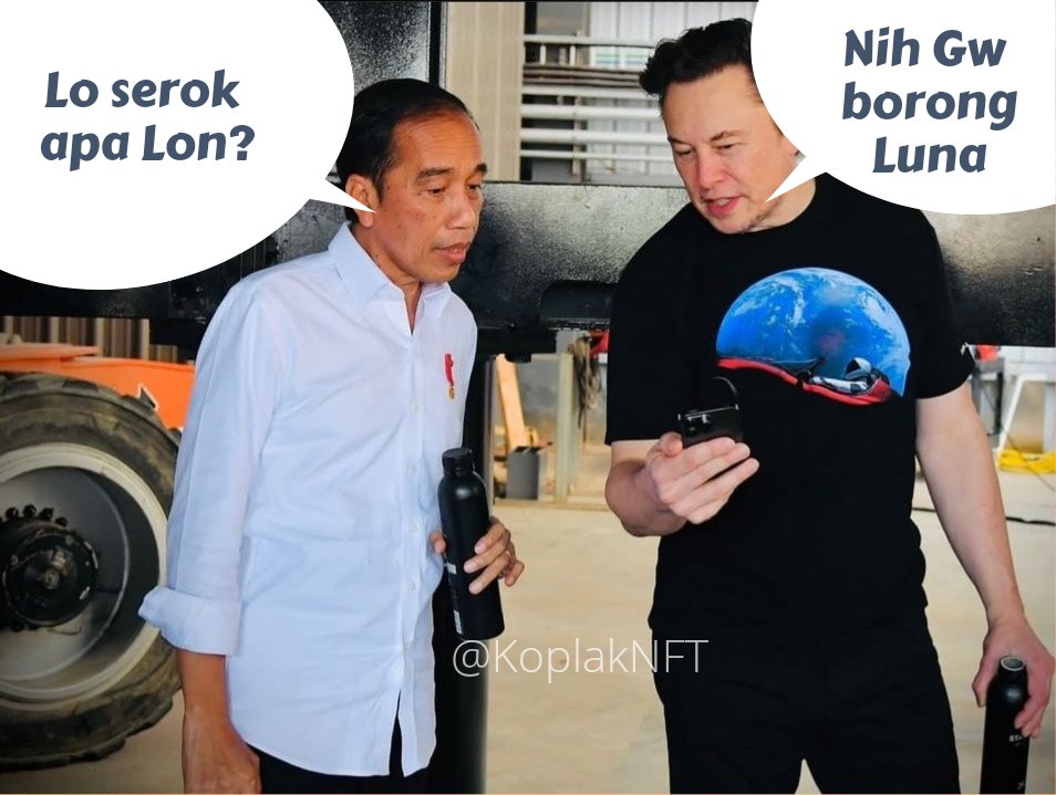 Koplak NFT tweet media