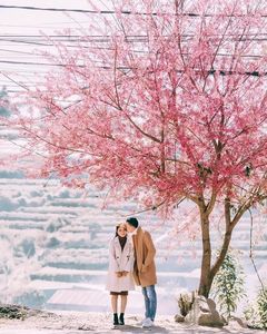songthuongxanh's tweet photo. HCM - ĐÀ LẠT
👉Giá chỉ : 1.450.000/ khứ hồi/ vé
( Đã bao gồm thuế phí)
☎zalo:0911901883
#vemaybay
#dalat #dalattrip #đàlạt #dalattravel #dalathomestay #đalat https://t.co/ts0OEopj1W