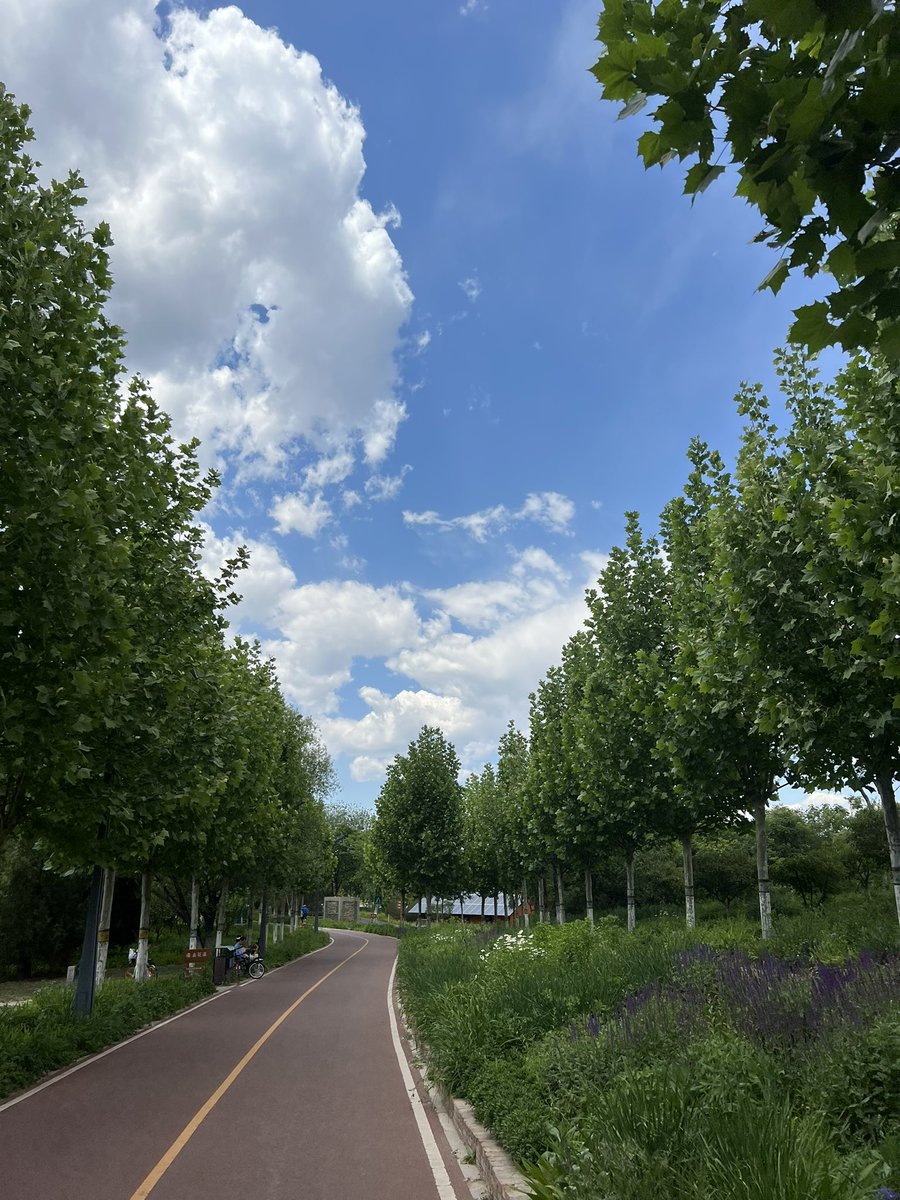 lijiezhang10's tweet image. summer time