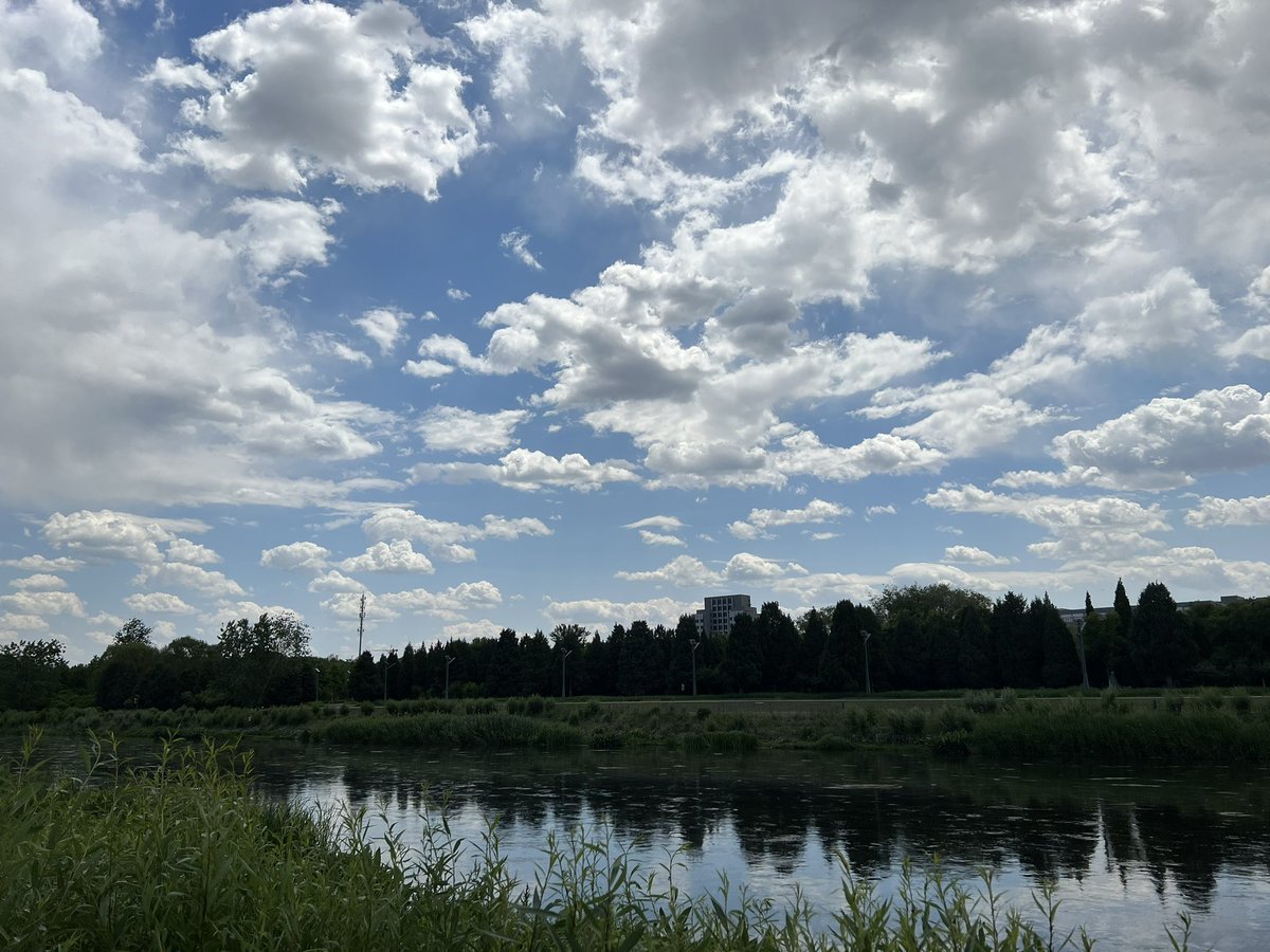 lijiezhang10's tweet image. summer time